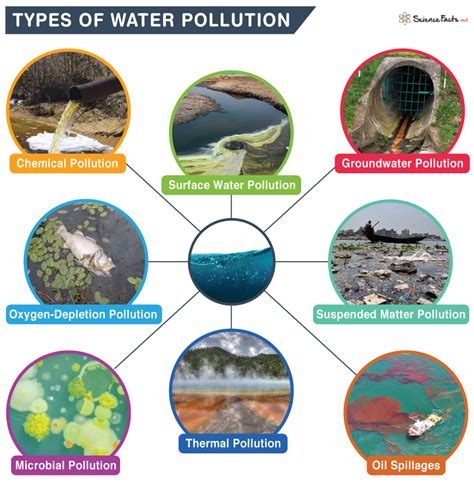 Main Microbiological Pollutants of Bottled Waters and Beverages